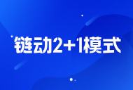 链动 2+1 的具体模式介绍